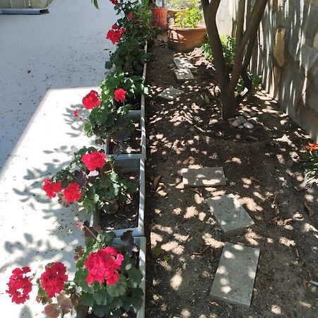 Strati'S Place Palaiontsiflikion Ngoại thất bức ảnh