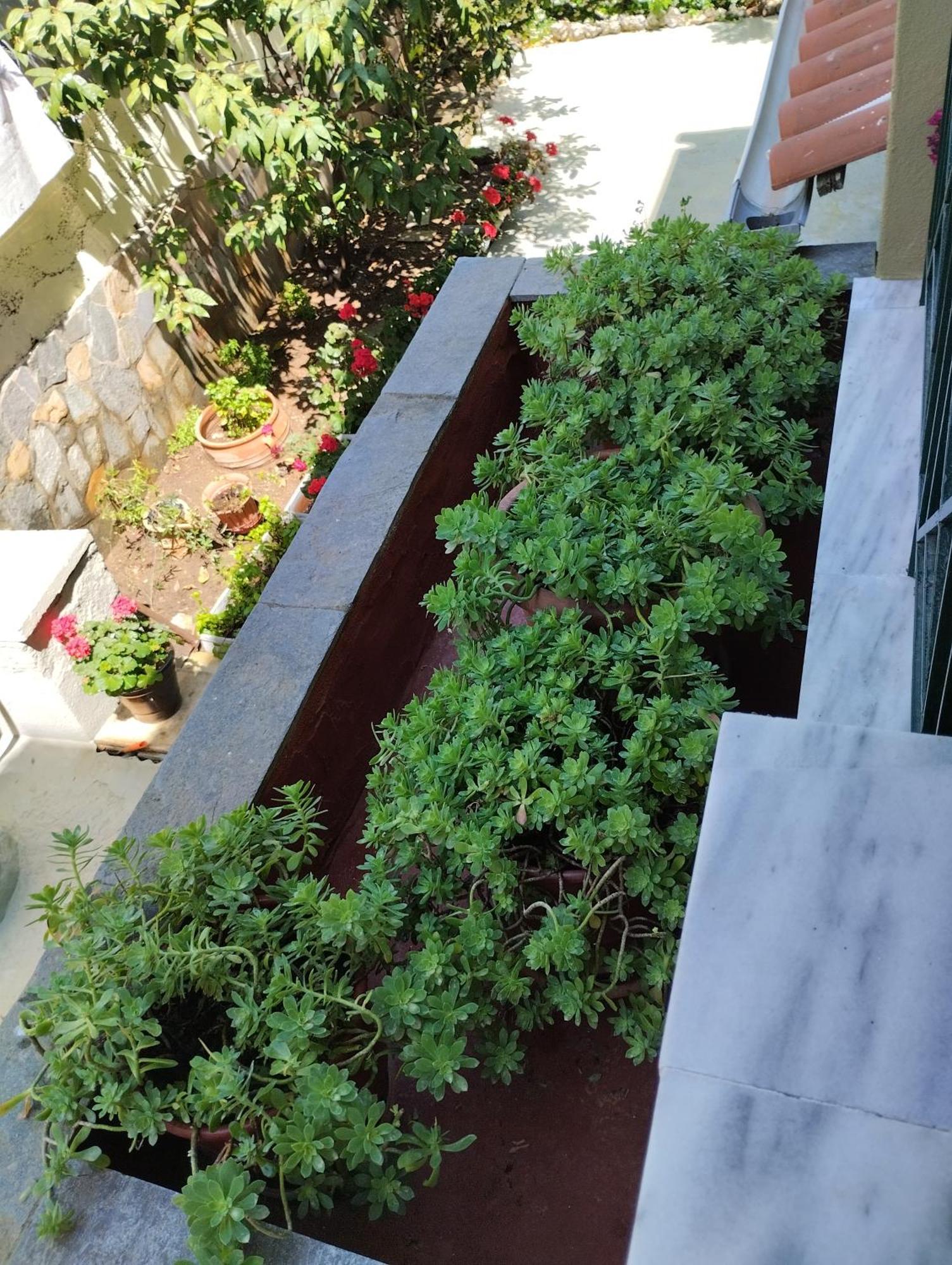 Strati'S Place Palaiontsiflikion Ngoại thất bức ảnh